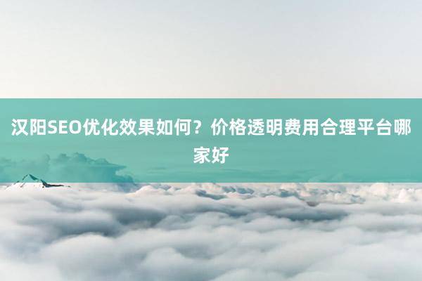 汉阳SEO优化效果如何？价格透明费用合理平台哪家好