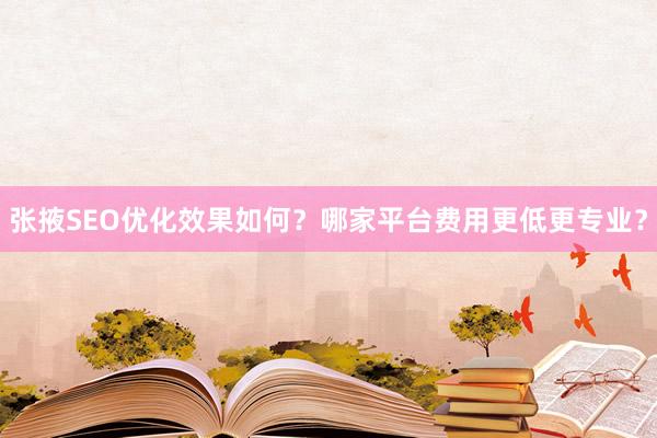 张掖SEO优化效果如何？哪家平台费用更低更专业？