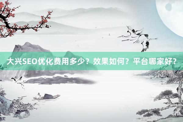 大兴SEO优化费用多少？效果如何？平台哪家好？