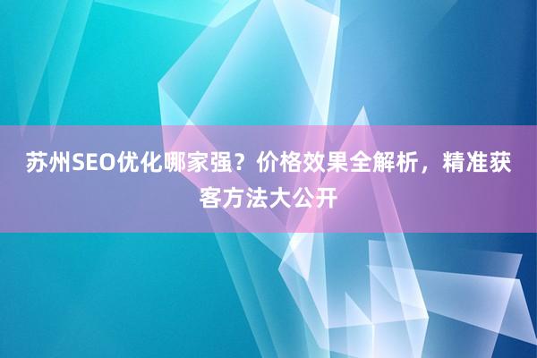 苏州SEO优化哪家强？价格效果全解析，精准获客方法大公开