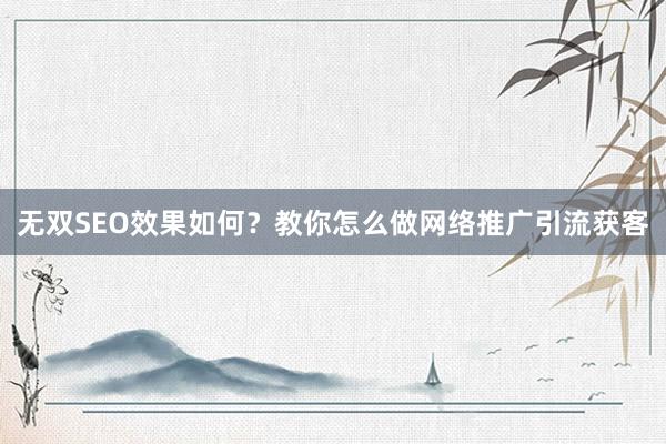 无双SEO效果如何？教你怎么做网络推广引流获客