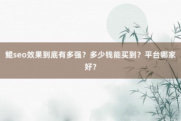 鲲seo效果到底有多强？多少钱能买到？平台哪家好？