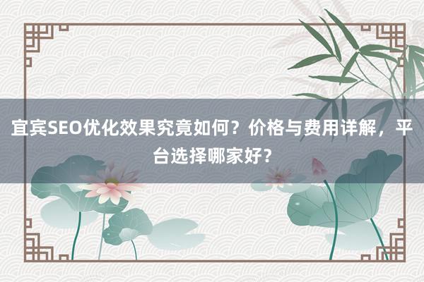 宜宾SEO优化效果究竟如何？价格与费用详解，平台选择哪家好？