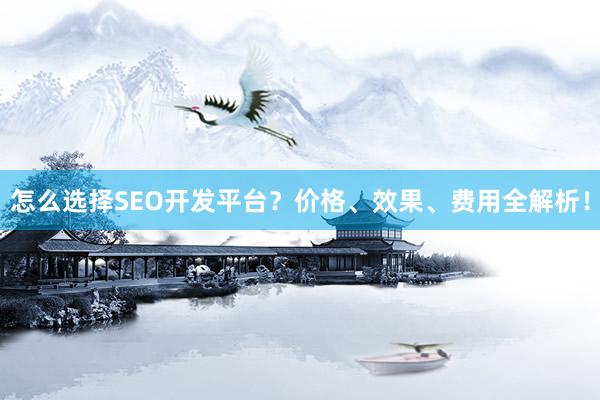 怎么选择SEO开发平台？价格、效果、费用全解析！