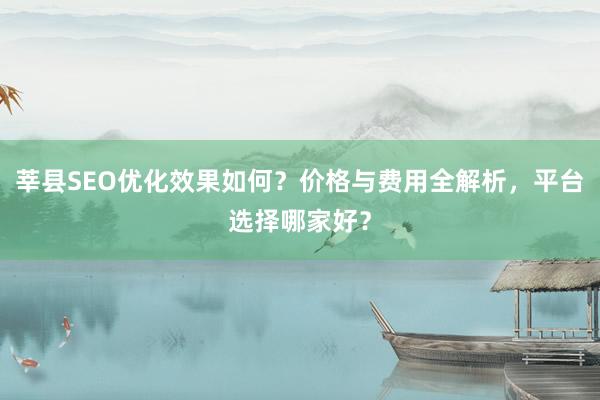 莘县SEO优化效果如何？价格与费用全解析，平台选择哪家好？