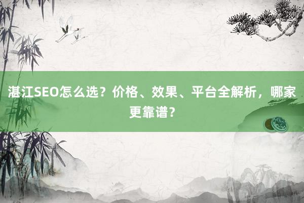 湛江SEO怎么选？价格、效果、平台全解析，哪家更靠谱？