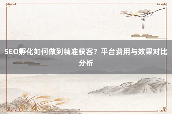 SEO孵化如何做到精准获客？平台费用与效果对比分析