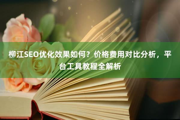 柳江SEO优化效果如何？价格费用对比分析，平台工具教程全解析