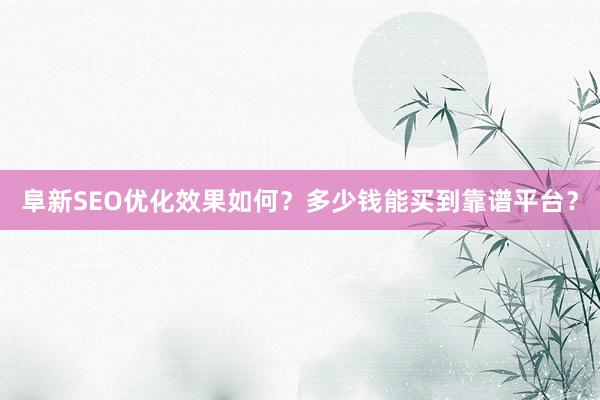 阜新SEO优化效果如何？多少钱能买到靠谱平台？