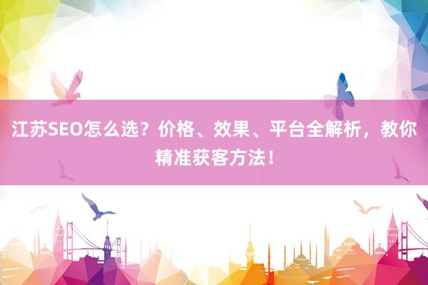 江苏SEO怎么选？价格、效果、平台全解析，教你精准获客方法！