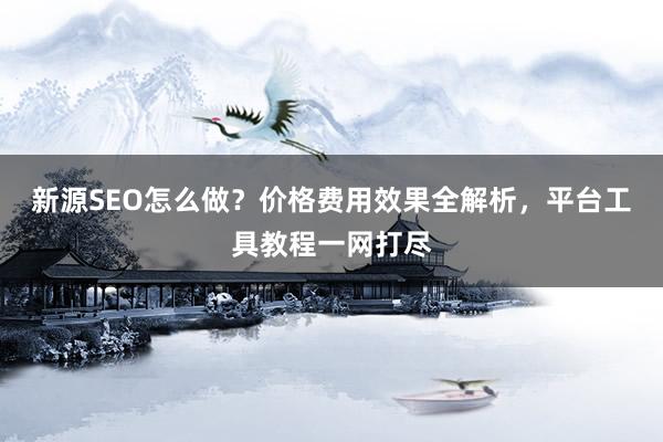 新源SEO怎么做？价格费用效果全解析，平台工具教程一网打尽
