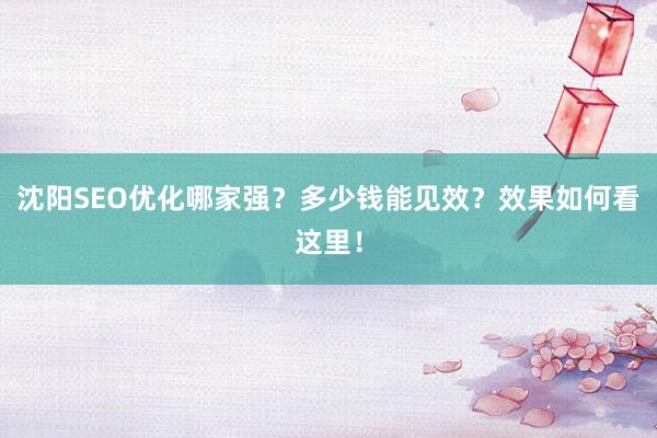 沈阳SEO优化哪家强？多少钱能见效？效果如何看这里！