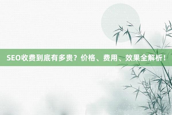SEO收费到底有多贵？价格、费用、效果全解析！
