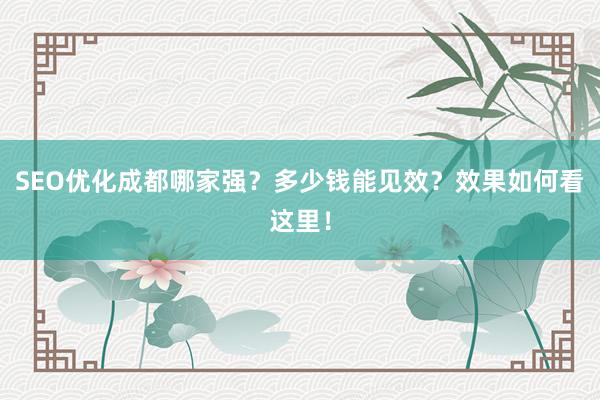 SEO优化成都哪家强？多少钱能见效？效果如何看这里！