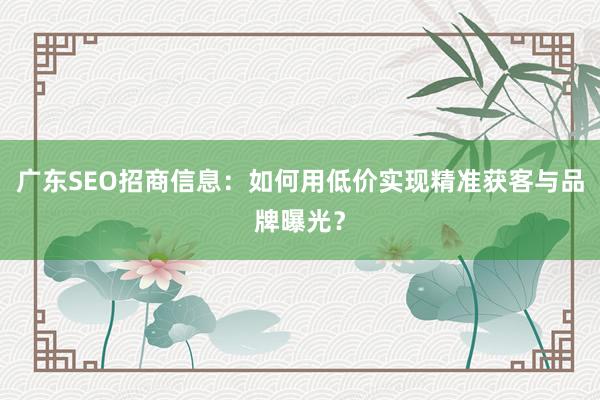 广东SEO招商信息：如何用低价实现精准获客与品牌曝光？