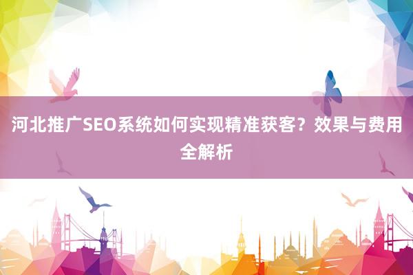 河北推广SEO系统如何实现精准获客？效果与费用全解析