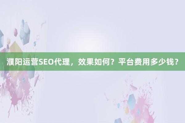 濮阳运营SEO代理，效果如何？平台费用多少钱？