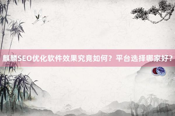 麒麟SEO优化软件效果究竟如何？平台选择哪家好？