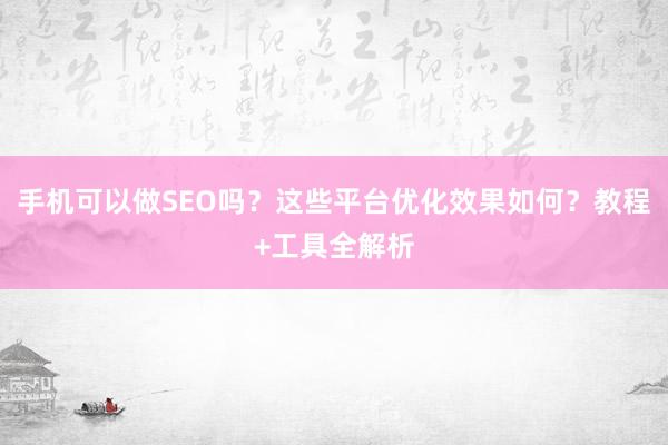 手机可以做SEO吗？这些平台优化效果如何？教程+工具全解析