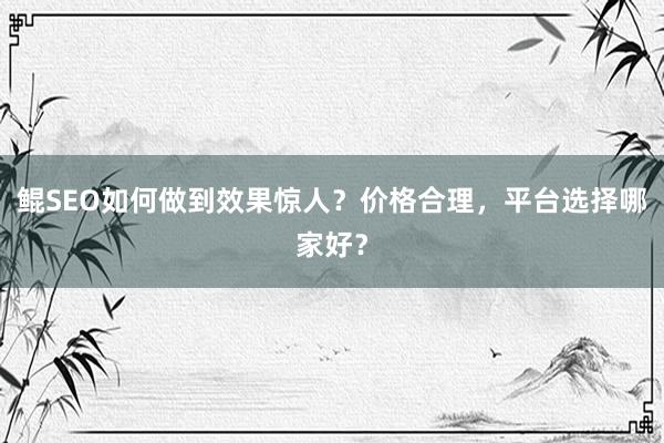 鲲SEO如何做到效果惊人？价格合理，平台选择哪家好？