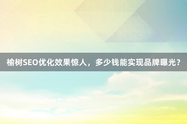 榆树SEO优化效果惊人，多少钱能实现品牌曝光？