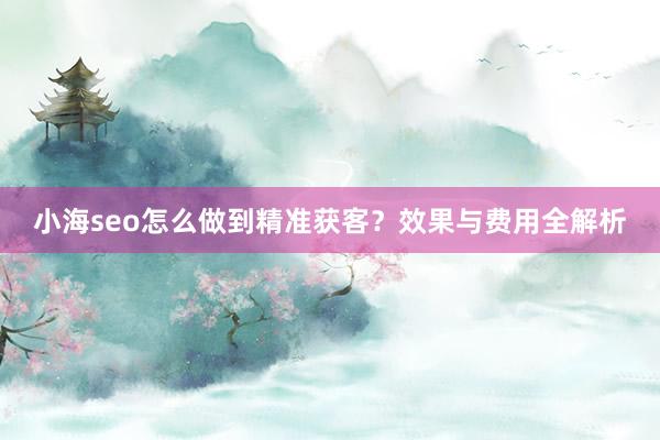小海seo怎么做到精准获客？效果与费用全解析