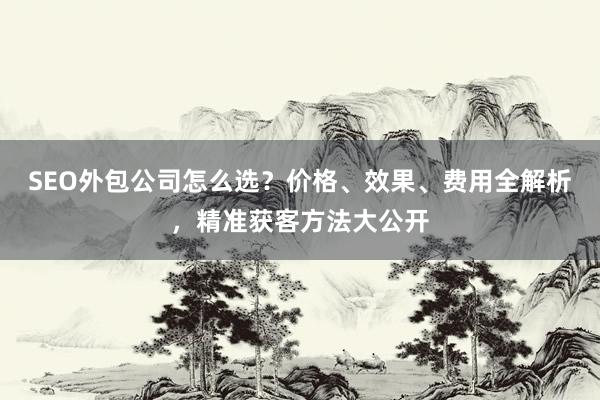 SEO外包公司怎么选？价格、效果、费用全解析，精准获客方法大公开