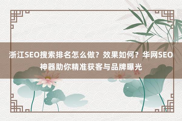 浙江SEO搜索排名怎么做？效果如何？华网SEO神器助你精准获客与品牌曝光