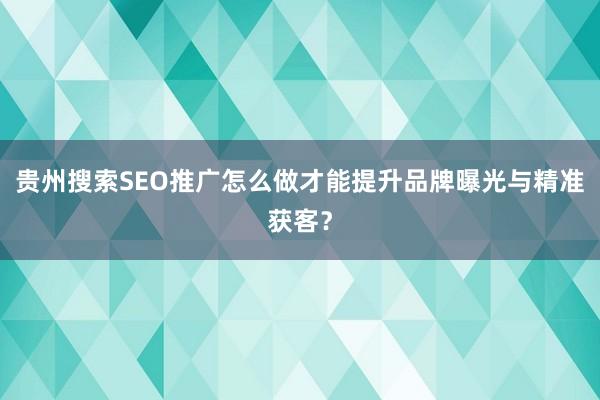 贵州搜索SEO推广怎么做才能提升品牌曝光与精准获客？