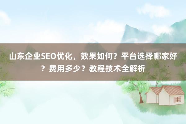 山东企业SEO优化，效果如何？平台选择哪家好？费用多少？教程技术全解析