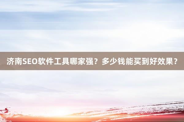 济南SEO软件工具哪家强？多少钱能买到好效果？