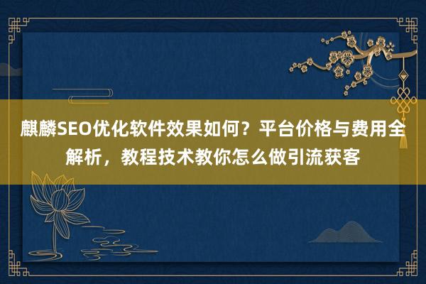 麒麟SEO优化软件效果如何？平台价格与费用全解析，教程技术教你怎么做引流获客