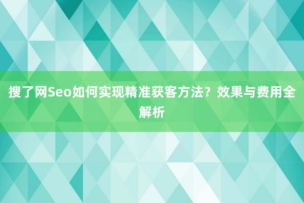 搜了网Seo如何实现精准获客方法？效果与费用全解析