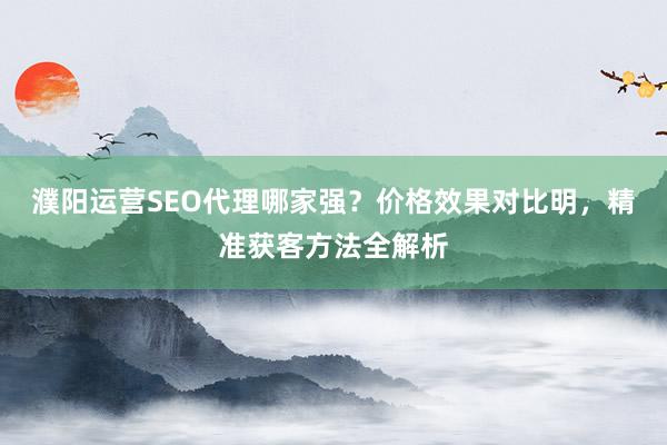 濮阳运营SEO代理哪家强？价格效果对比明，精准获客方法全解析