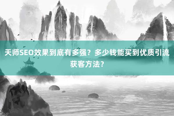 天师SEO效果到底有多强？多少钱能买到优质引流获客方法？