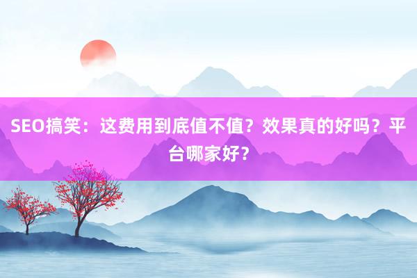 SEO搞笑：这费用到底值不值？效果真的好吗？平台哪家好？