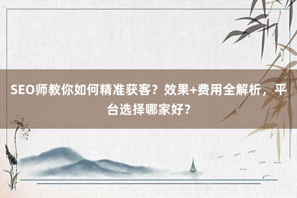SEO师教你如何精准获客？效果+费用全解析，平台选择哪家好？